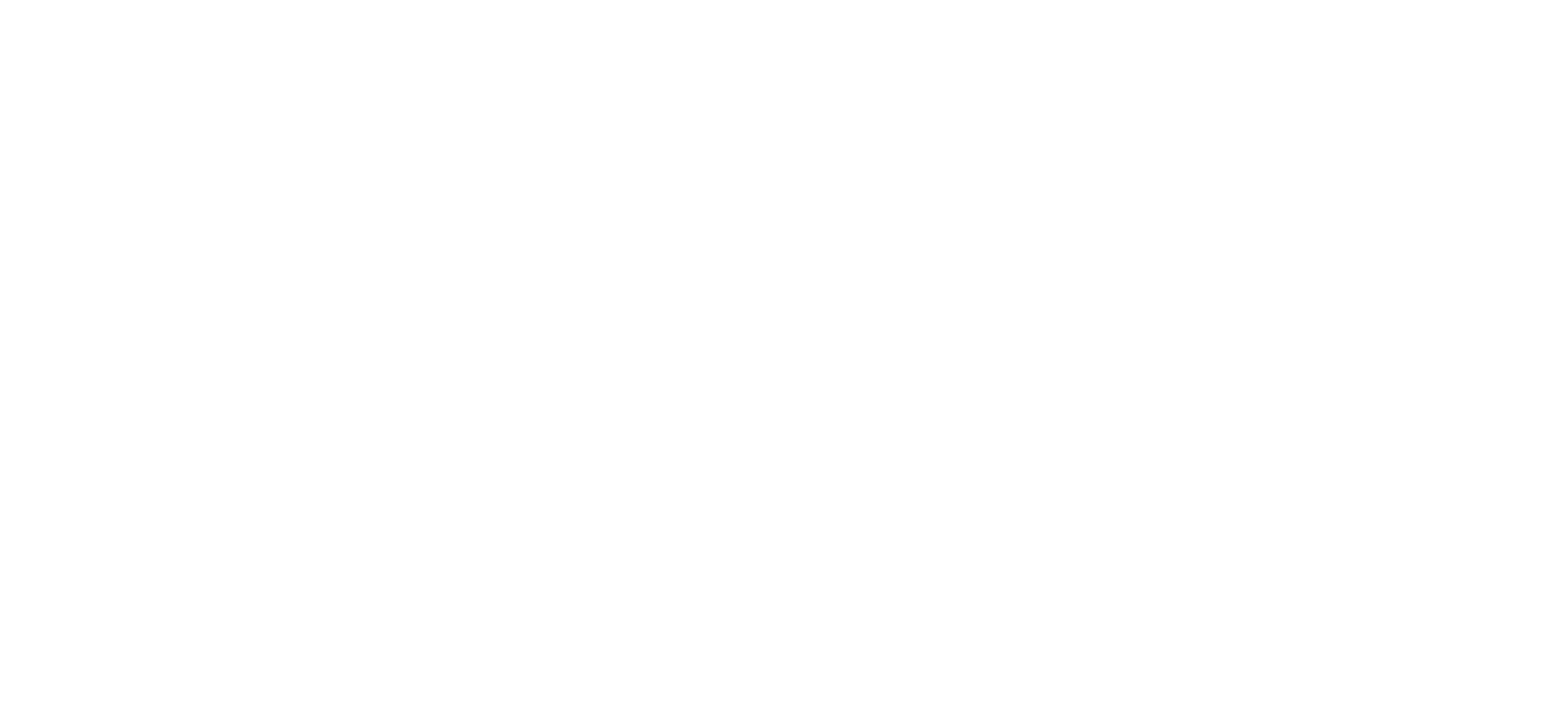 puls schwarz